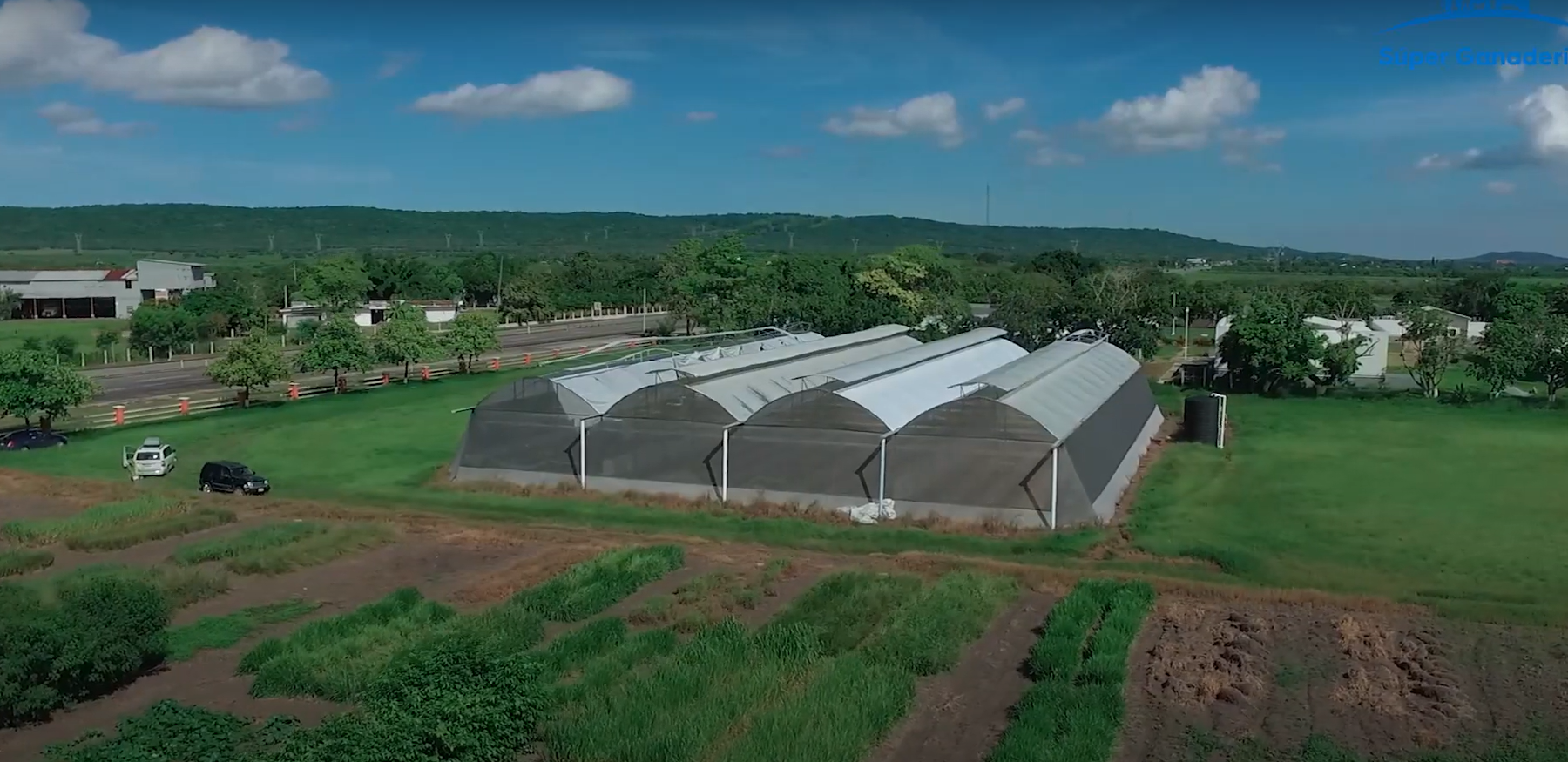 Episodio 6: Conocimiento de los recursos forrajeros | Pregúntale al experto